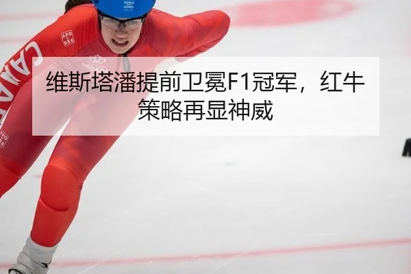 维斯塔潘提前卫冕F1冠军，红牛策略再显神威